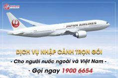 Cập nhật các chuyến bay về Việt Nam cho chuyên gia nước ngoài và người Việt